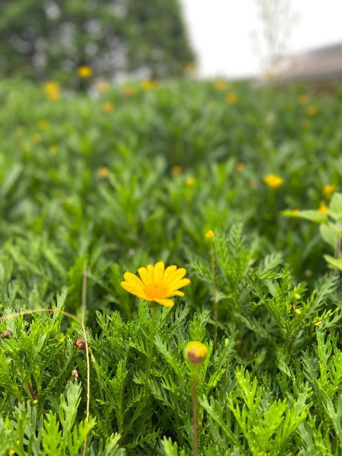 Hotel Da Lat Sunshine Garden Zewnętrze zdjęcie